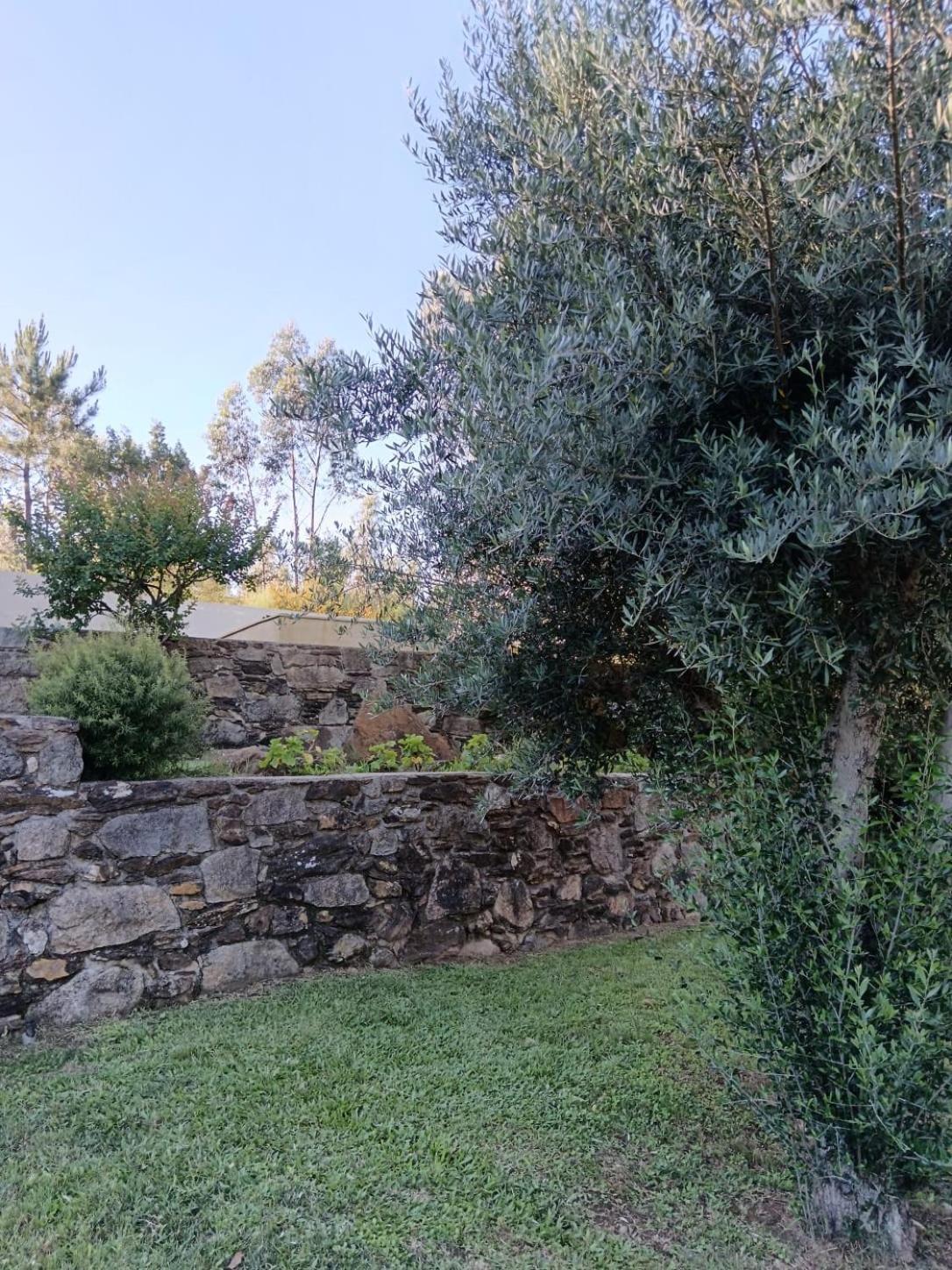 Casa Dos Matos Villa Ponte de Lima Exterior photo